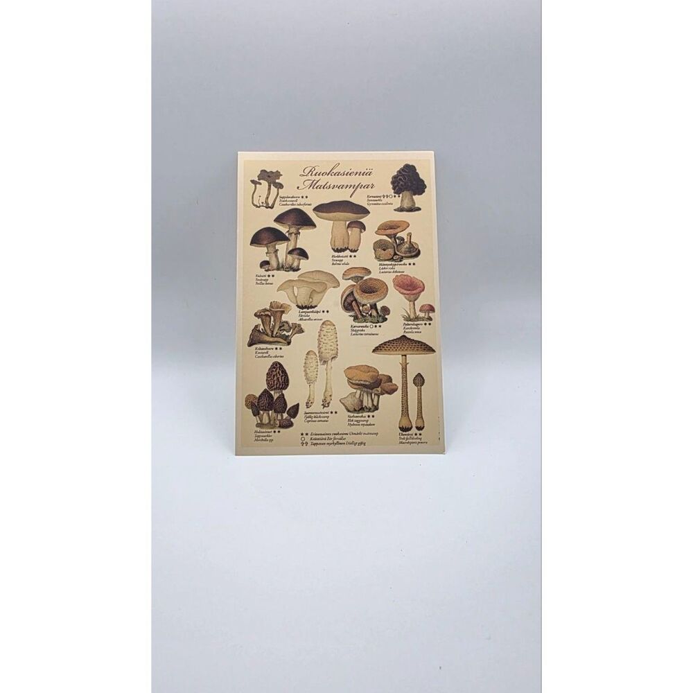 Mushroom Art Print 4x6 Botanical Fungi Cottagecore Vintage Style Wall Decor